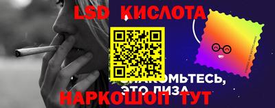 винт Камышлов