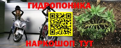 винт Камышлов