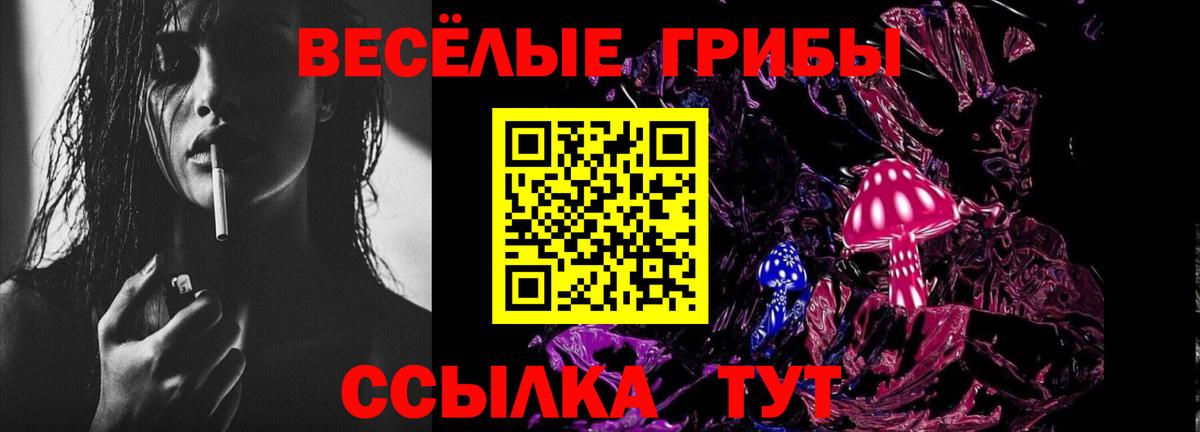 Псилоцибиновые грибы Cubensis  Псилоцибиновые грибы GOLDEN TEACHER  Ликино-Дулёво  Вход с VPN 